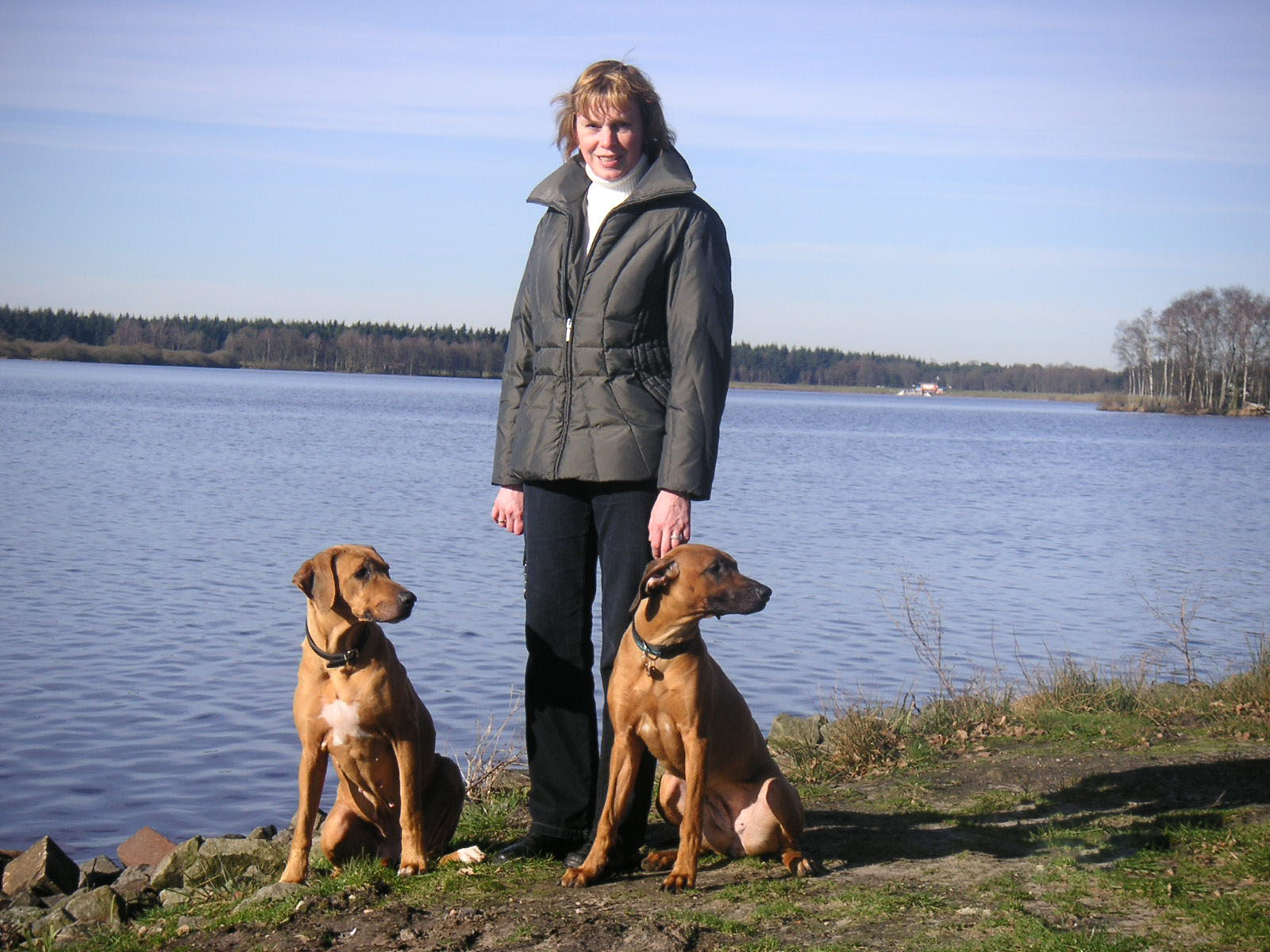 Helga mit Hunden